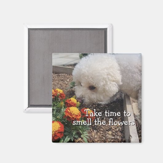 Aimant Sentir les Fleurs (Recto/Verso)
