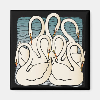 Aimant Sept cygnes une natation