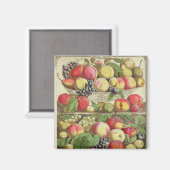 Aimant Septembre, à partir de "Douze mois de fruits" (Recto/Verso)