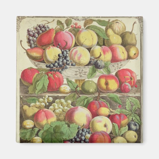 Aimant Septembre, à partir de "Douze mois de fruits" (Devant)