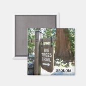 Aimant Sequoia Big Trees Trail Magnet! (Recto/Verso)