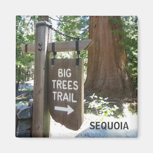 Aimant Sequoia Big Trees Trail Magnet! (Devant)