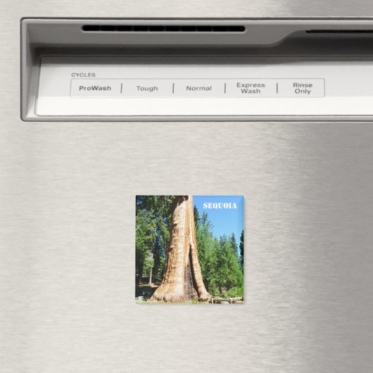 Aimant Sequoia géant ! (In Situ (Lave-vaisselle))