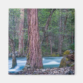 Aimant Sequoias & Merced River Yosemite National Park, CA (Devant)