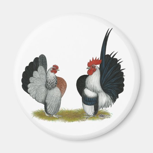 Aimant Serama Bantams (Devant)