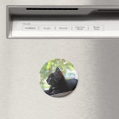 Aimant Serene (In Situ (Lave-vaisselle))