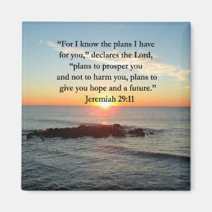 AIMANT SERENE JEREMIAH 29:11 SCELER