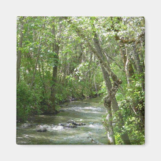 Aimant Sérénité.... (Devant)