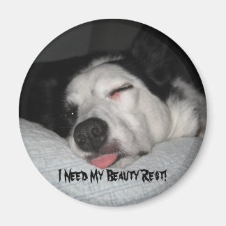Aimant Série Beauty Rest