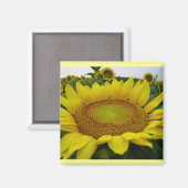 Aimant Série de tournesols (Recto/Verso)
