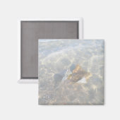 Aimant Série OBX Cownose Stingray (Recto/Verso)