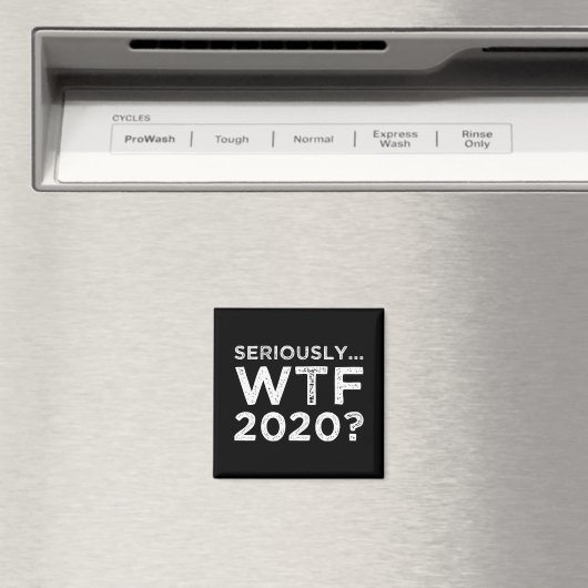 Aimant Sérieusement, WTF 2020 ? (In Situ (Lave-vaisselle))