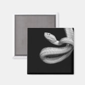 Aimant Serpent (Recto/Verso)