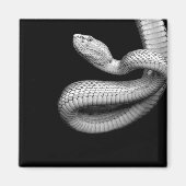 Aimant Serpent (Devant)