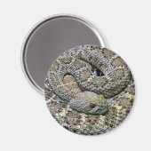 Aimant Serpent (Recto/Verso)