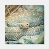 aimant serpent à sonnette (Devant)