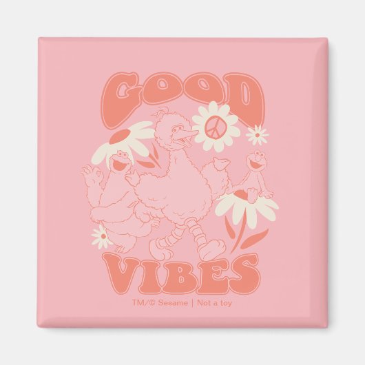 Aimant Sesame Street Pals | Good Vibes (Devant)