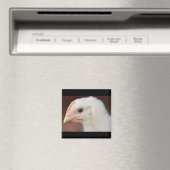 Aimant seule poussin (In Situ (Lave-vaisselle))