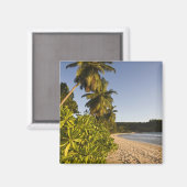 Aimant Seychelles, île de Mahé, plage d'Anse Takamaka, (Recto/Verso)