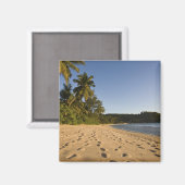 Aimant Seychelles, île de Mahé, plage d'Anse Takamaka, 2 (Recto/Verso)