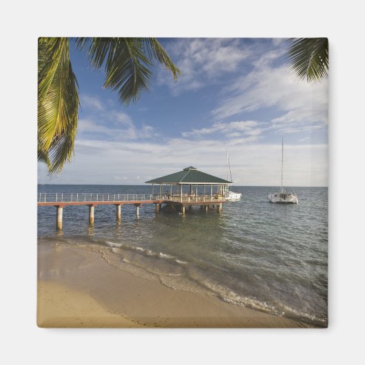 Aimant Seychelles, île de Praslin, Anse Bois de Rose, (Devant)