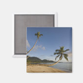 Aimant Seychelles, île Mahé, palmier horizontal, (Recto/Verso)