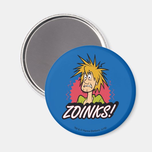 Aimant Shaggy "Zoinks !" graphic (Recto/Verso)