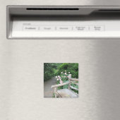 Aimant Shakespeare Garden Bench Roses Central Park NYC (In Situ (Lave-vaisselle))