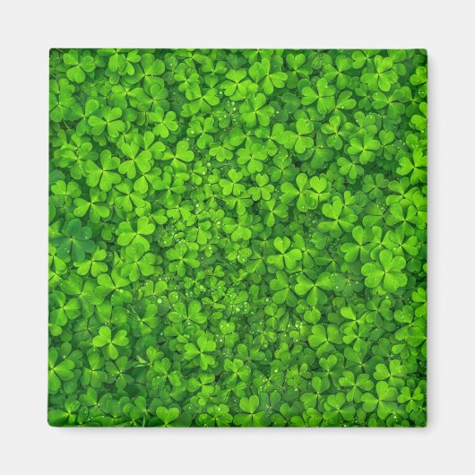 Aimant Shamrock green, St. Patrick's Day, (Devant)