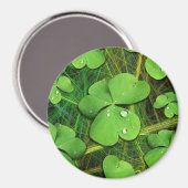 Aimant Shamrock vert St Patrick iPhone 5 Coque-Mate (Recto/Verso)