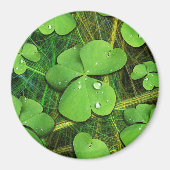 Aimant Shamrock vert St Patrick iPhone 5 Coque-Mate (Devant)