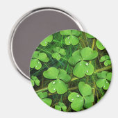 Aimant Shamrock vert St Patrick iPhone 5 Coque-Mate (Recto/Verso)
