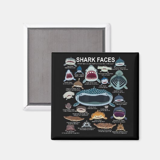 Aimant Shark faces Which Face Do You Want To Encounter (Recto/Verso)