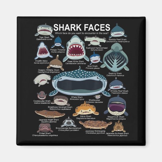 Aimant Shark faces Which Face Do You Want To Encounter (Devant)