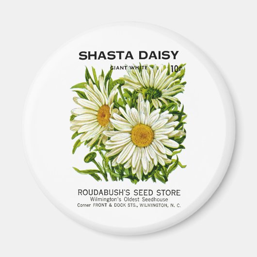 Aimant Shasta Daisy Vintage semis (Devant)