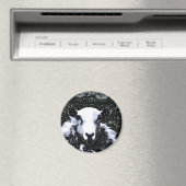 AIMANT SHEEP (In Situ (Lave-vaisselle))