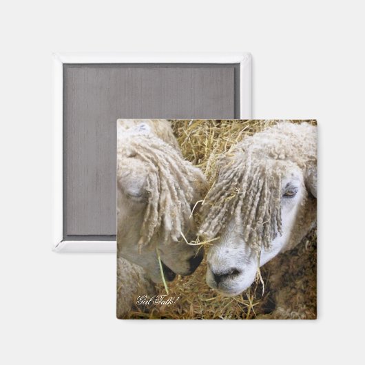 AIMANT SHEEP (Recto/Verso)
