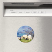 AIMANT SHEEP (In Situ (Lave-vaisselle))
