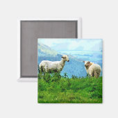 AIMANT SHEEP DE MONTAGNE (Recto/Verso)
