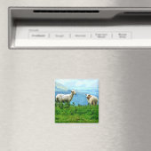 AIMANT SHEEP DE MONTAGNE (In Situ (Lave-vaisselle))