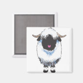 AIMANT SHEEP VALAIS BLACKNOSE (Recto/Verso)