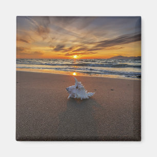 Aimant Shell à la plage à l'île du coucher du soleil