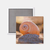 Aimant Shell Bokeh |Grèce (Recto/Verso)