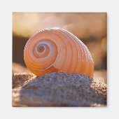 Aimant Shell Bokeh |Grèce (Devant)