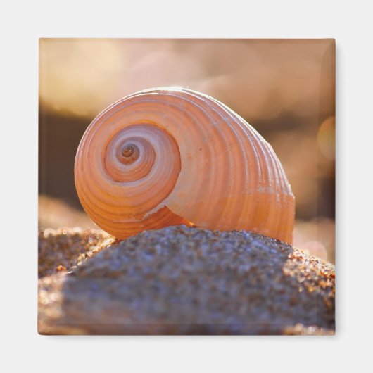 Aimant Shell Bokeh |Grèce (Devant)