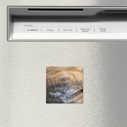 AIMANT SHELL GÉANT TORTOISE (In Situ (Lave-vaisselle))