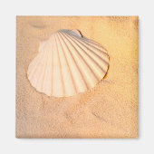 Aimant Shell Laying (Devant)