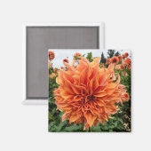 Aimant Sherwood's Peach Dahlia (Recto/Verso)