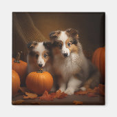 Aimant Shetland Sheepdog Chiot Chiot Automne Citrouille d (Devant)
