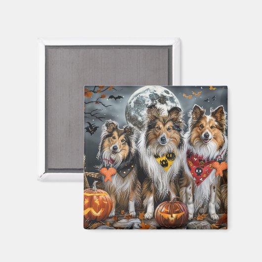 Aimant Shetland Sheepdog Halloween Éffrayant (Recto/Verso)